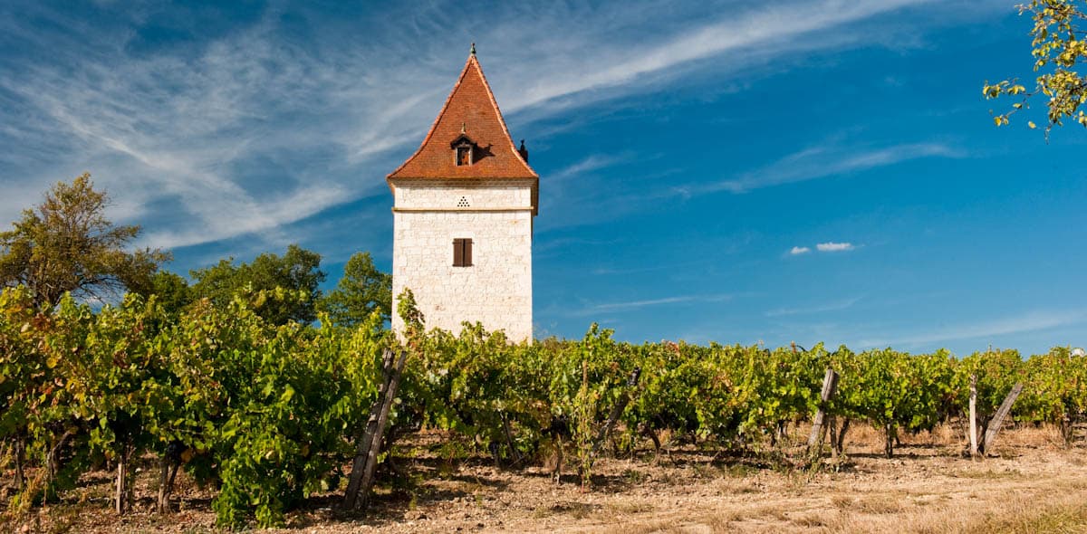 Foire: Chai Mon Vigneron (Gaillac Primeur), Gaillac