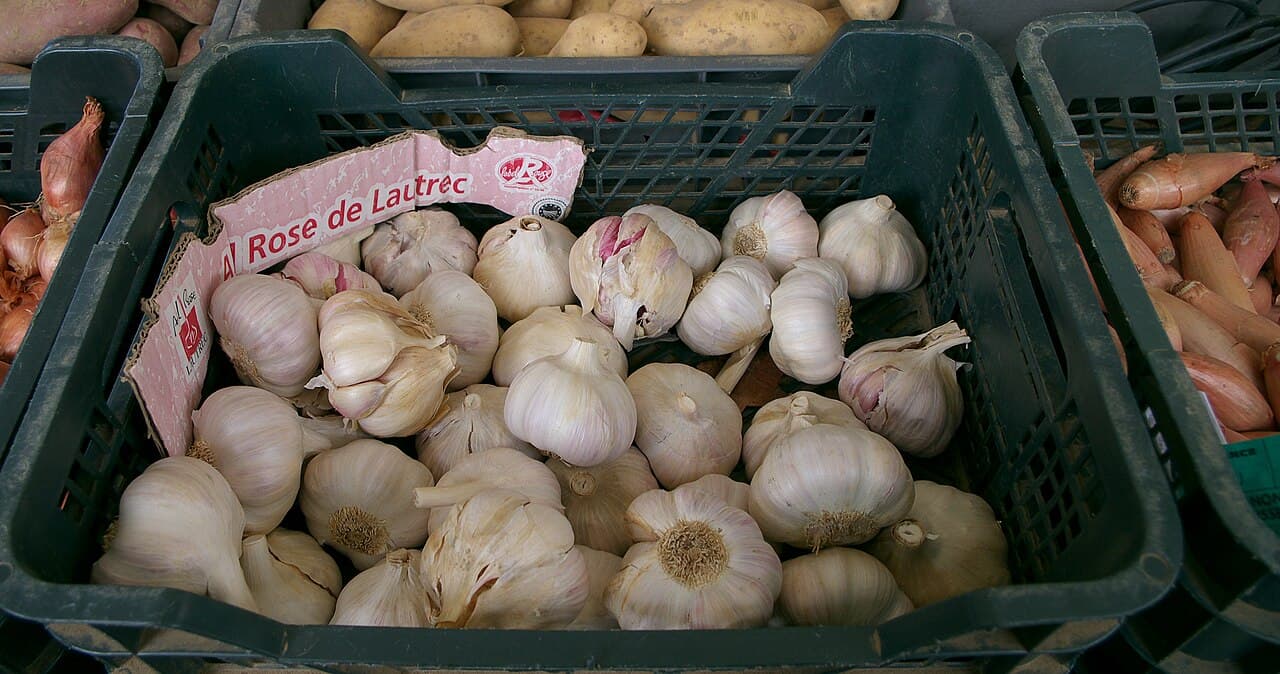 Foire : Fête de l'Ail Rose de Lautrec, Lautrec