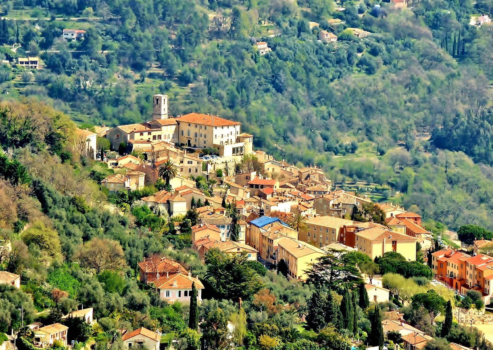 Fête votive : Fête de l'Oranger du Bar-sur-Loup, Le Bar-sur-Loup