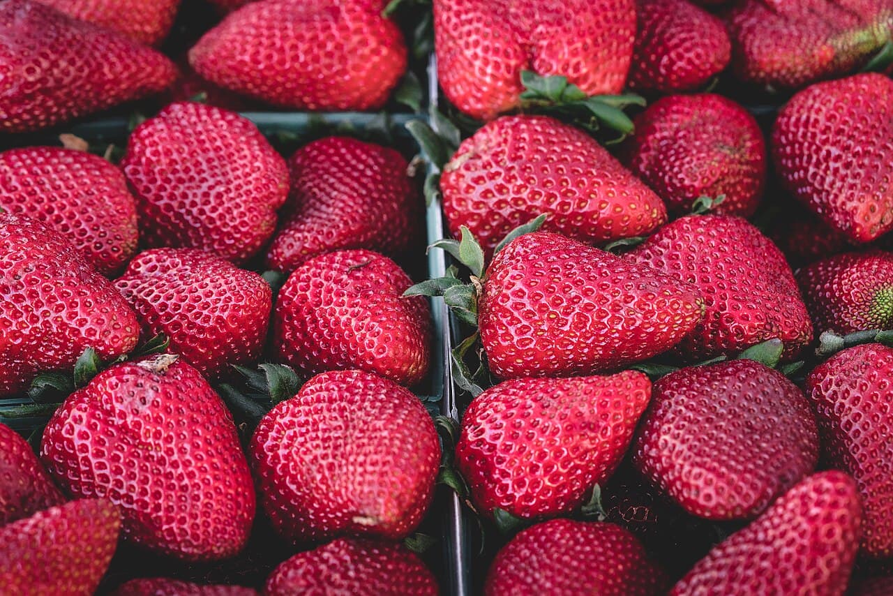 Foire : Fête de la Fraise, Beaulieu-sur-Dordogne
