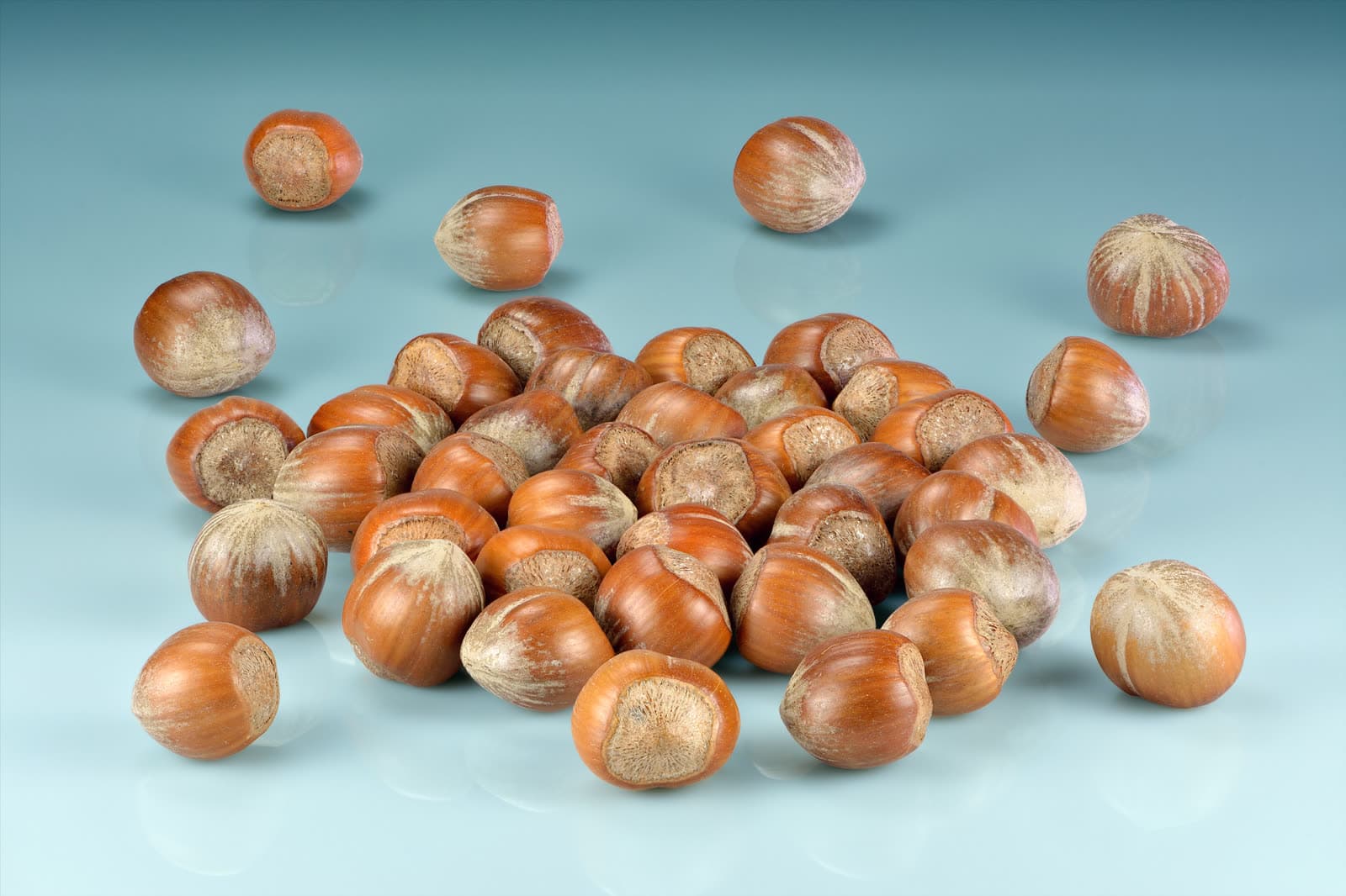 Foire : Fête de la Noisette et des Saveurs d'Automne, Lavit