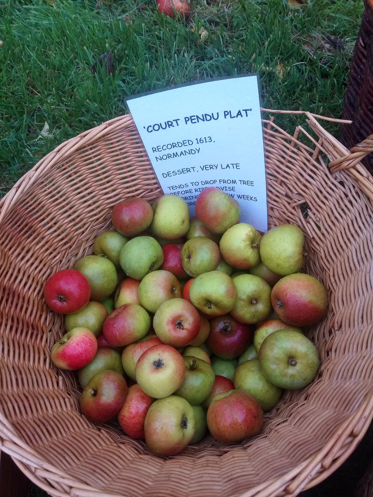 Foire: Fête de la Pomme et Marché Festif, Sainte-Anne-Saint-Priest