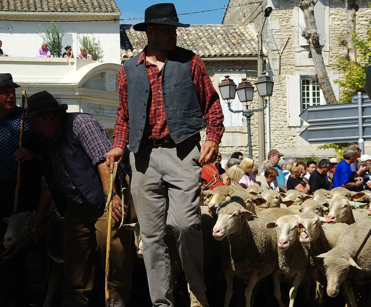 Fête votive : Fête de la Transhumance de Saint-Rémy-de-Provence, Saint-Rémy-de-Provence