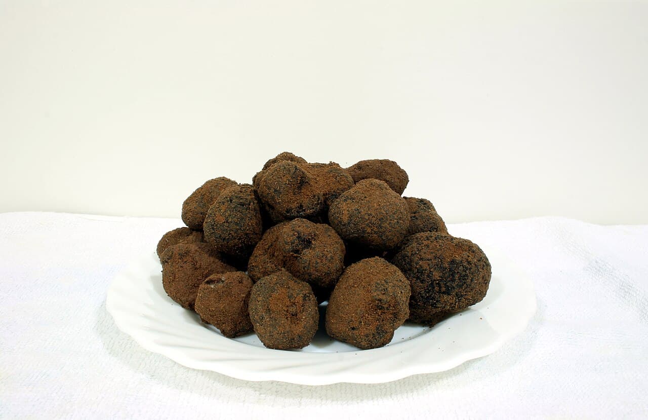 Foire : Fête de la Truffe à Sarlat, Sarlat-la-Canéda