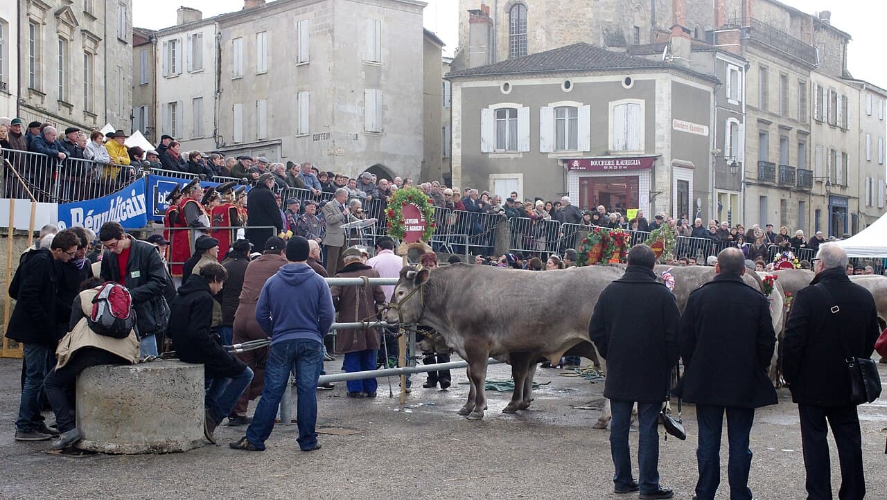 Fête votive : Fête des Bœufs Gras, Bazas