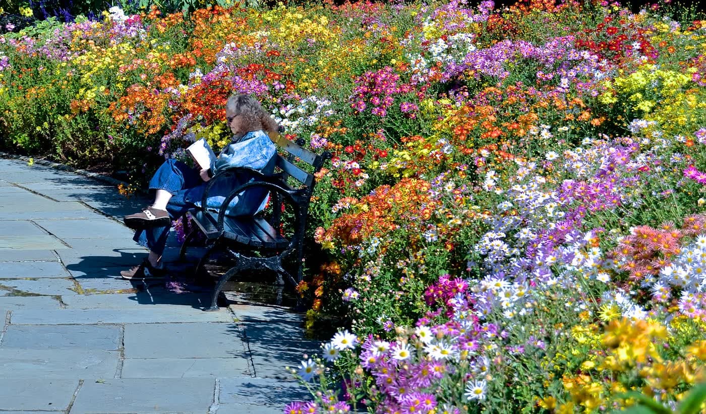 Foire : Fête des Fleurs, Arces-sur-Gironde