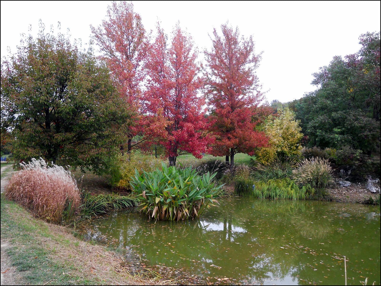 Foire: Fête des Plantes du Jardin du Bois Marquis, Vernioz