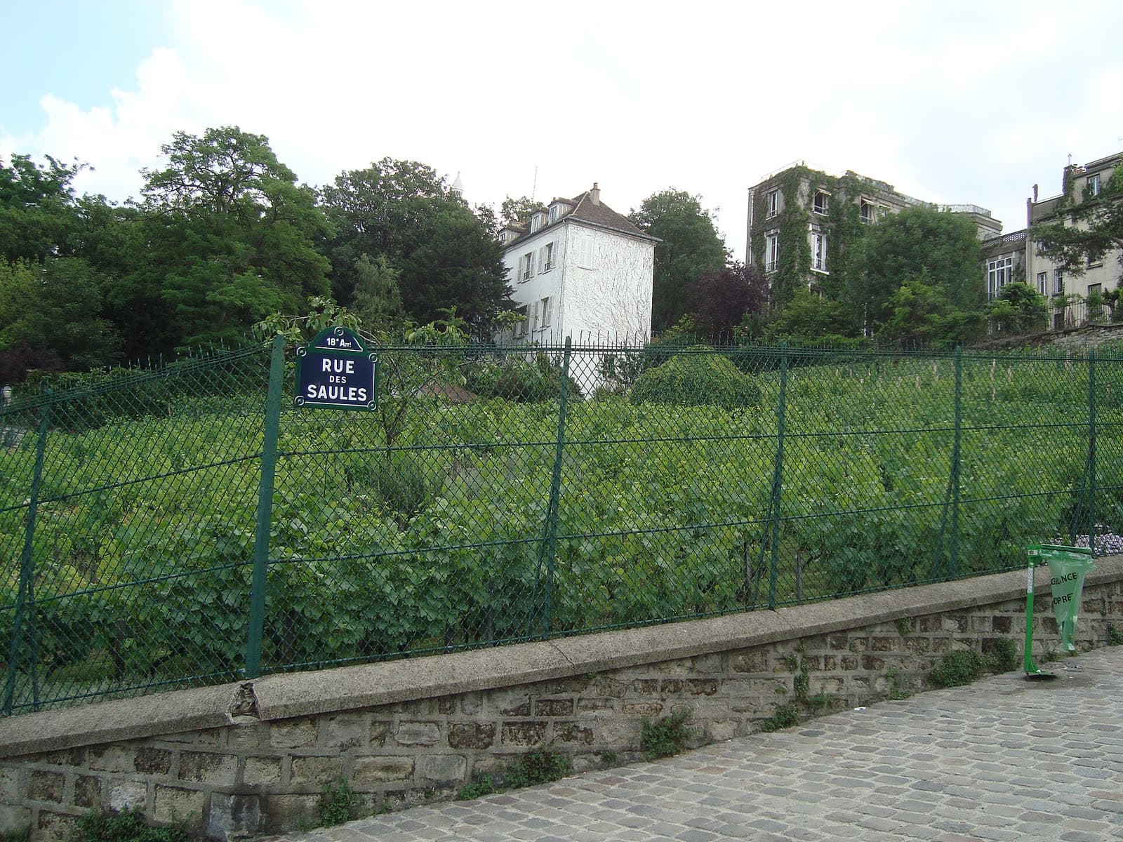 Fête: Fête des Vendanges de Montmartre, Paris