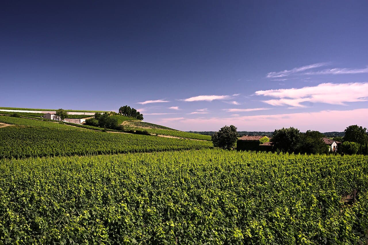 Foire: Fête des Vendanges de Saint-Émilion, Saint-Émilion