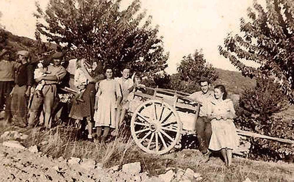 Foire: Fête des Vendanges et des Traditions Occitanes, Vendres