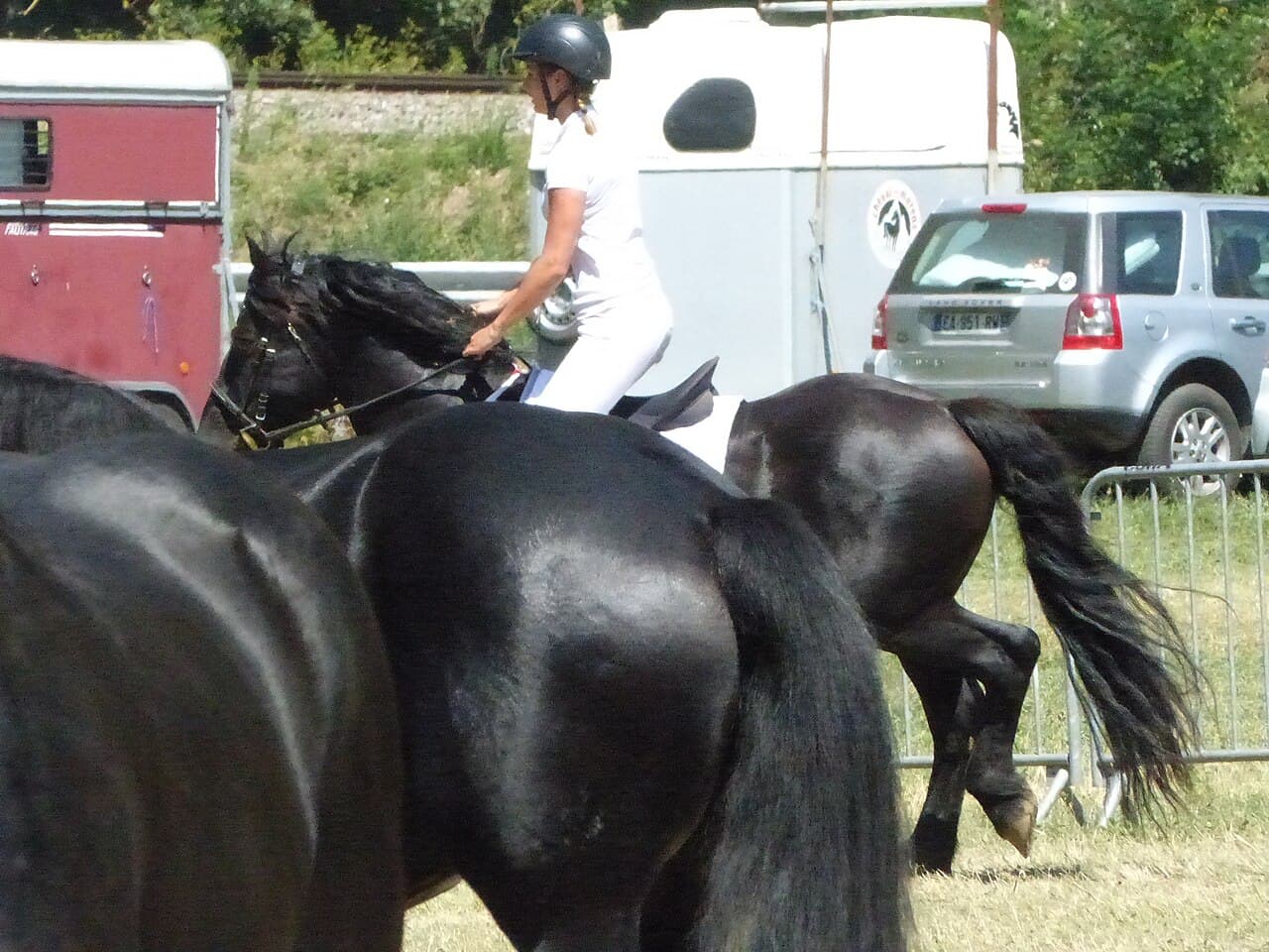 Foire : Fête du Cheval de Mérens, Bouan