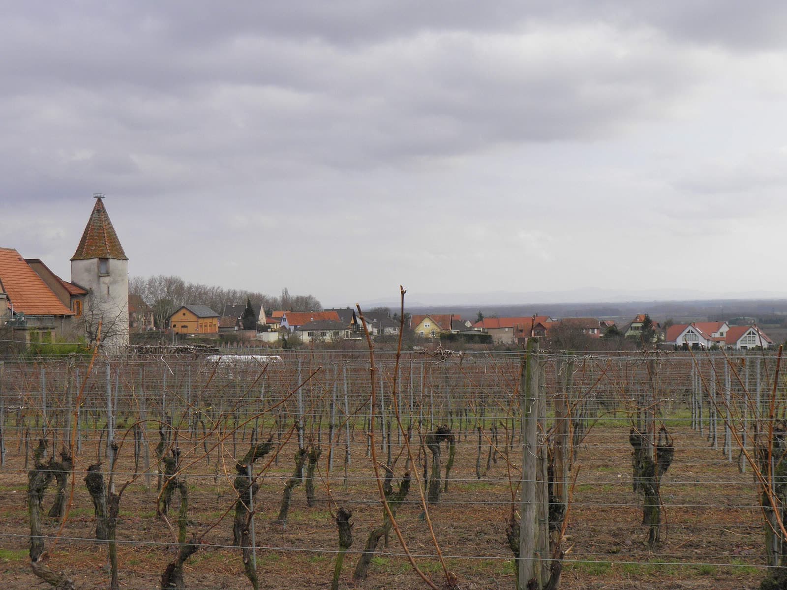 Fête: Fête du vin nouveau de Saint-Hippolyte, Saint-Hippolyte