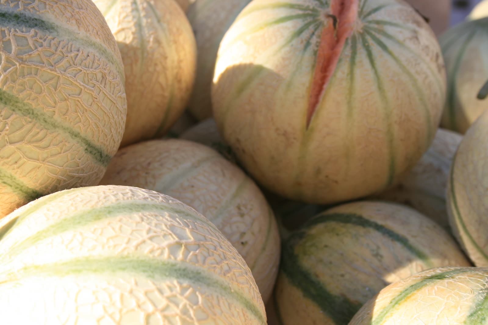 Foire : Fête du Melon et du Terroir, Pernes-les-Fontaines