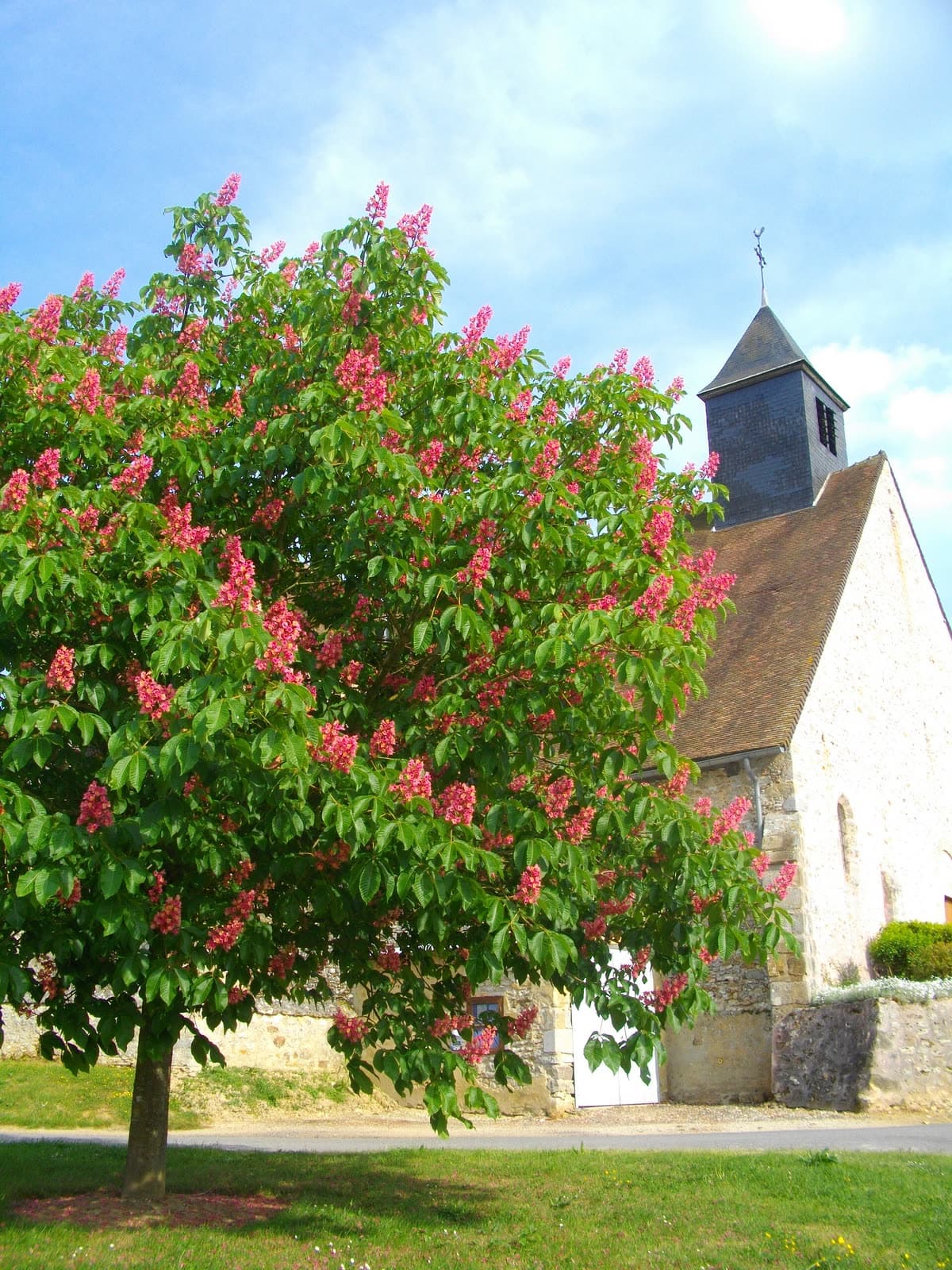 Fête votive: Fête de la Saint-Michel des Essarts-le-Vicomte, Les Essarts-le-Vicomte