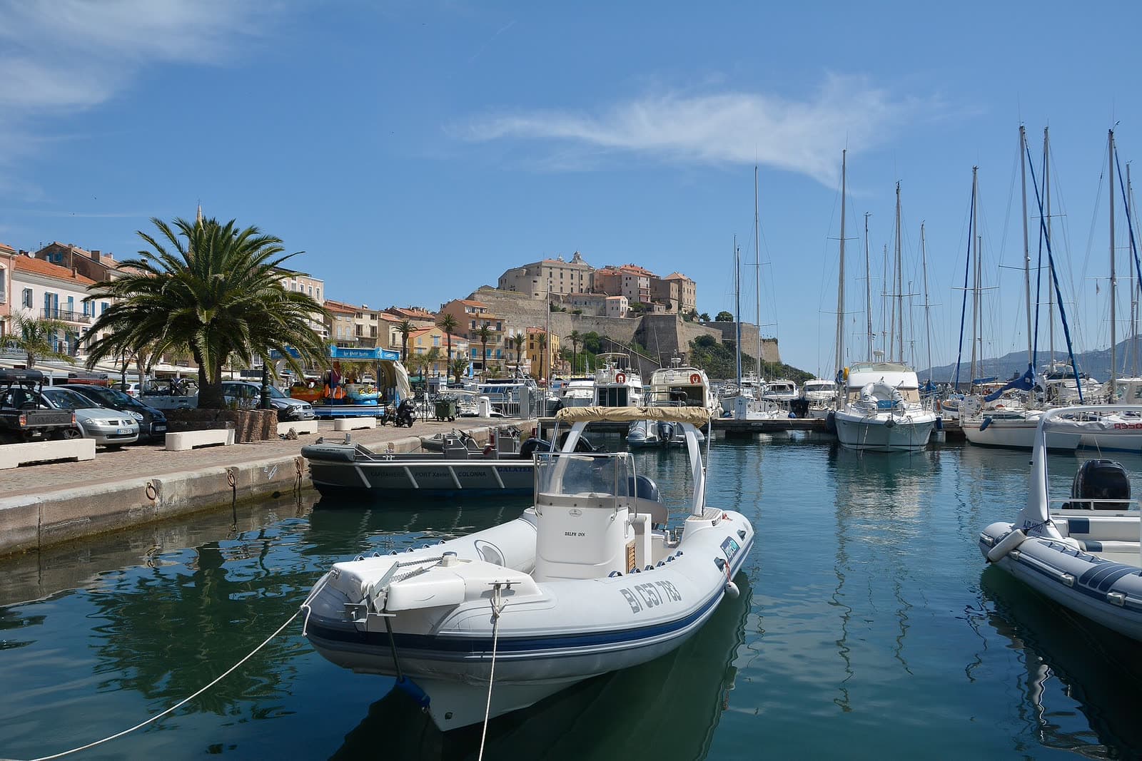 Foire: A Fiera di i Cavalieri Balanini, Calvi