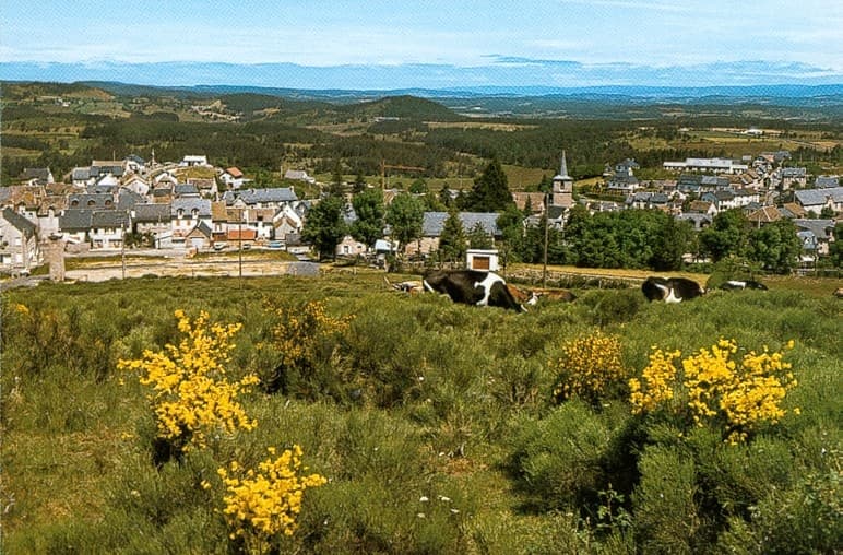 Foire : Foire de Lozère, Peyre en Aubrac