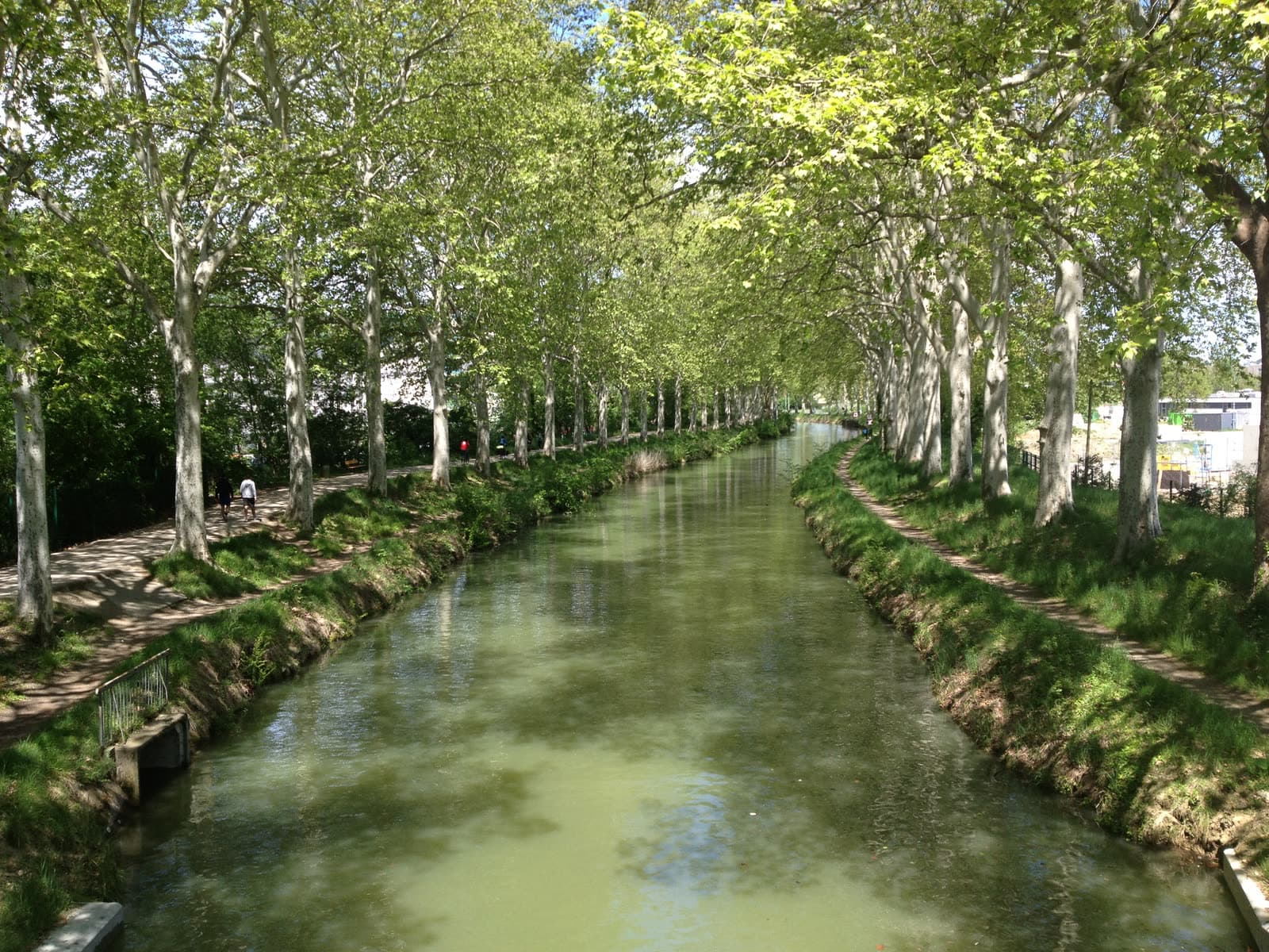 Fête votive : La Nature en Fête à Ramonville-Saint-Agne, Ramonville-Saint-Agne