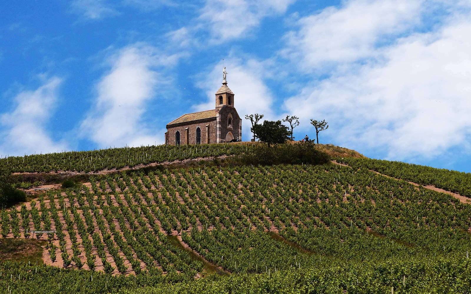 Fête: Marché aux Vins de Fleurie, Fleurie