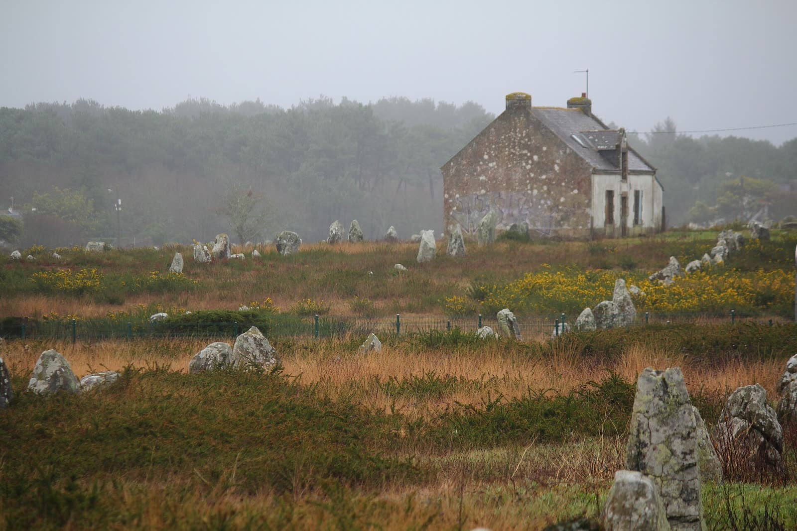 Fête votive: Mégalithes en fête, Carnac