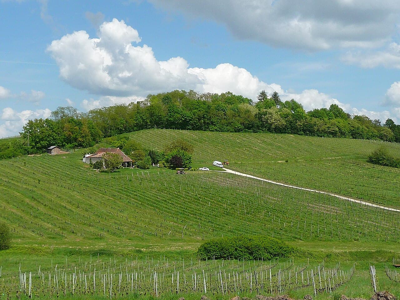 Foire: Vignobles en Scène, Bergerac