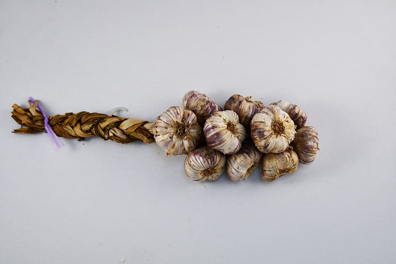 Foire : Fête de l'Ail Violet de Cadours, Cadours