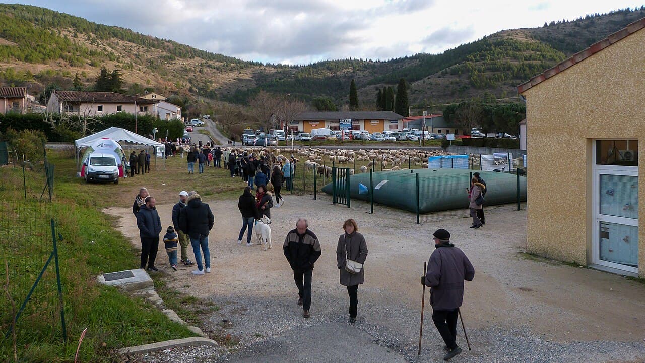 Fête votive : Fête de la Transhumance, Riez